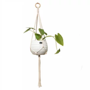 Macrame Plant Hanger