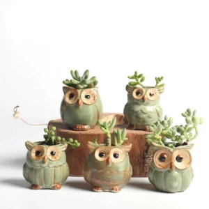 5 Pcs/Set Ceramic Owl Shape Flower Pot